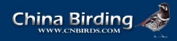 China Birding
