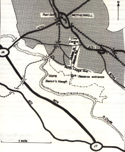 Baron's Haugh RSPB Reserve Map