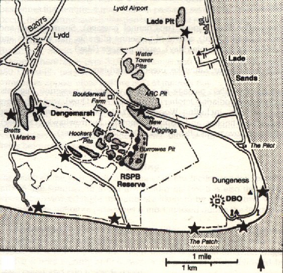 Dungeness Area Map