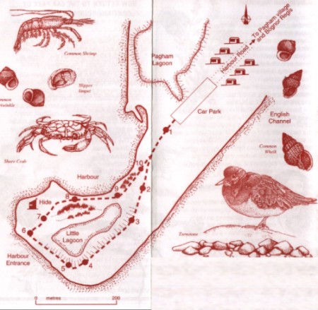 Pagham Harbour Nature Trail Map