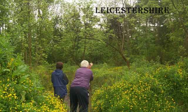 Birding Leicestershire